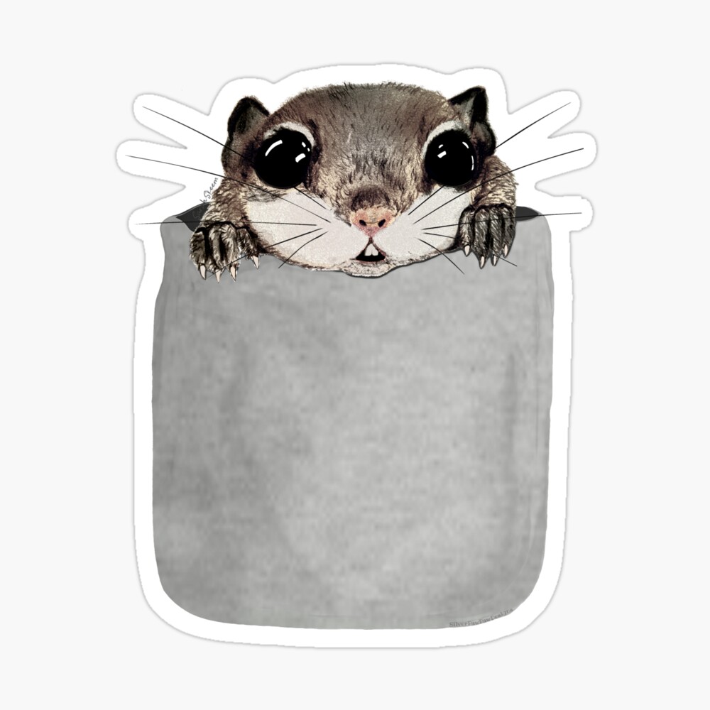 Flying Squirrel In My Pocket Drawing Kids T Shirt By Riffxs Redbubble