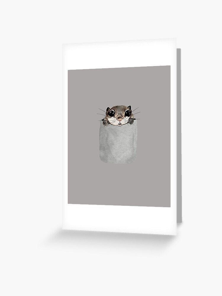 Flying Squirrel In My Pocket Drawing Greeting Card By Riffxs Redbubble