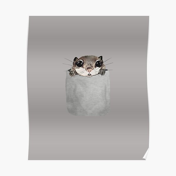 Flying Squirrel In My Pocket Drawing Poster