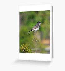 Song Bird Greeting Card