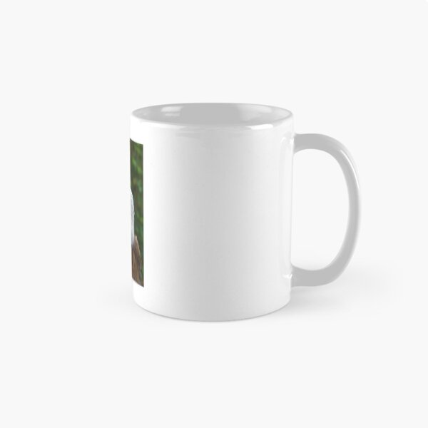 Item preview, Eagle Eye designed and sold by Bob Sample.