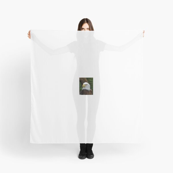 Item preview, Eagle Eye designed and sold by Bob Sample.
