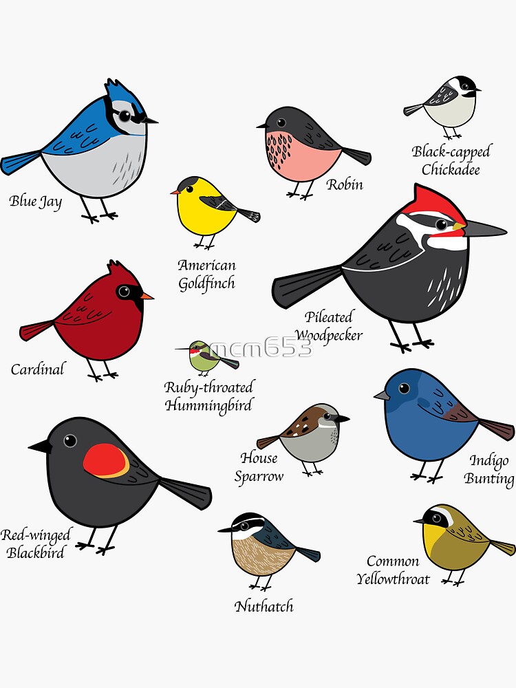 Midwestern Bird Vinyl Stickers