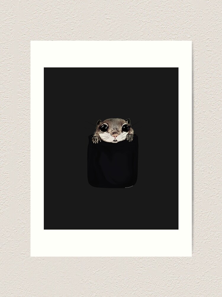 Flying Squirrel In My Pocket Drawing Art Print By Riffxs Redbubble