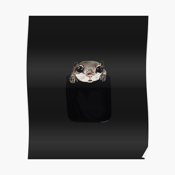 Flying Squirrel In My Pocket Drawing Poster