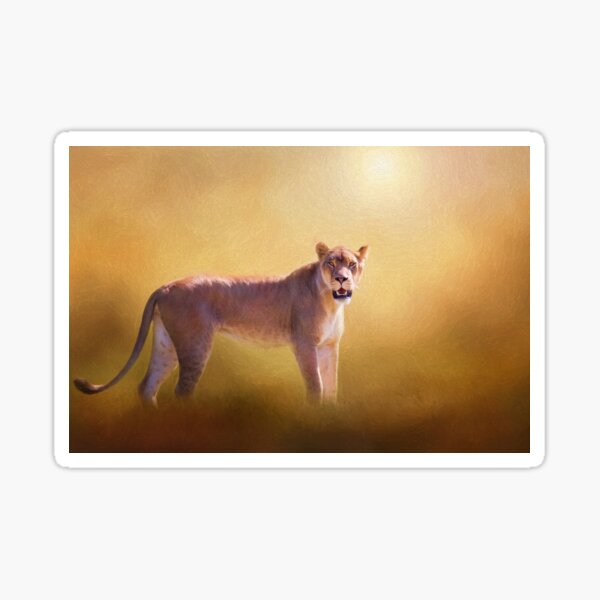 Item preview, Lioness In The Golden Sun designed and sold by Sharon McConnell.