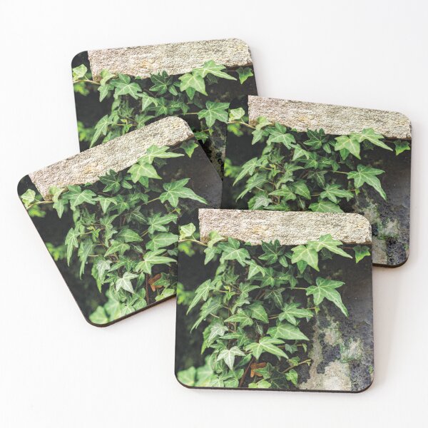 Item preview, Hedera on concrete 1 designed and sold by Arc1.