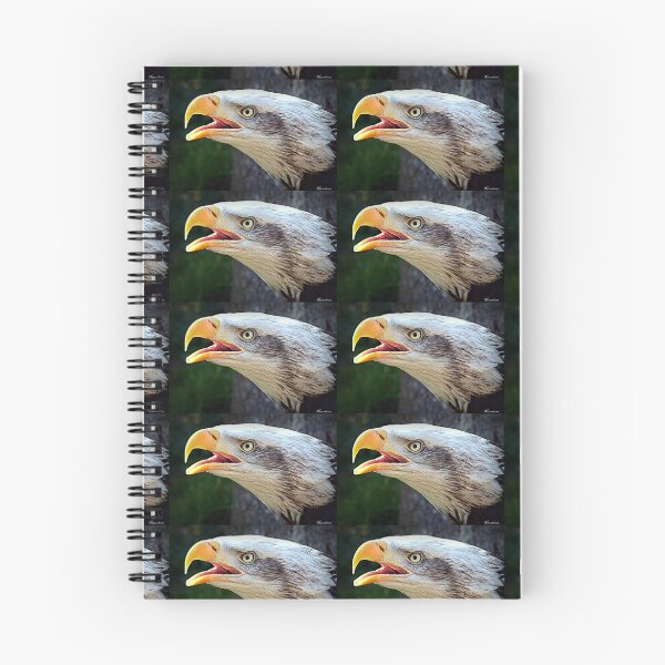 Item preview, Alaskan Bald Eagle designed and sold by naturelover.