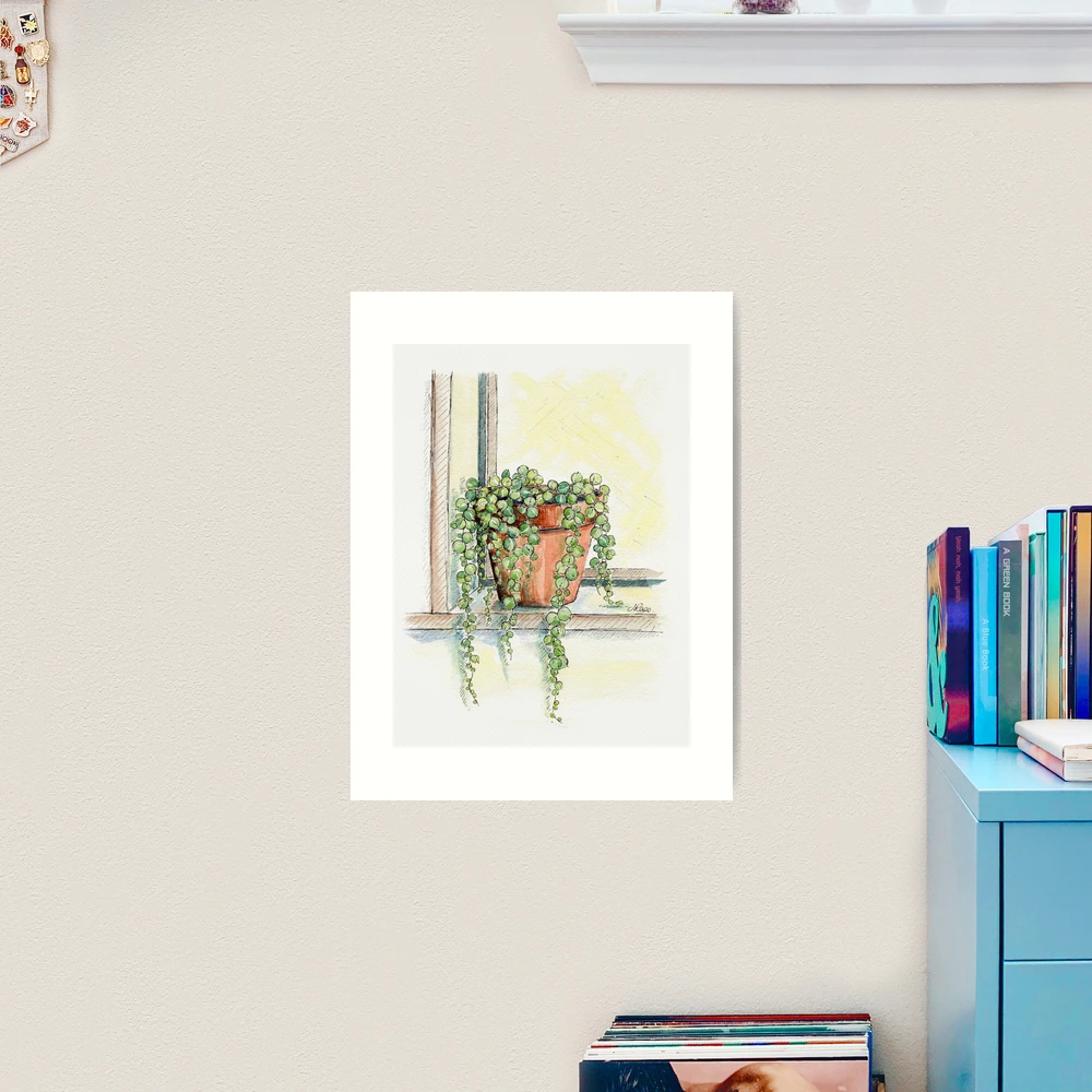 String of Pearls Plant, Still Life Art Print for Sale by JRoseDesign