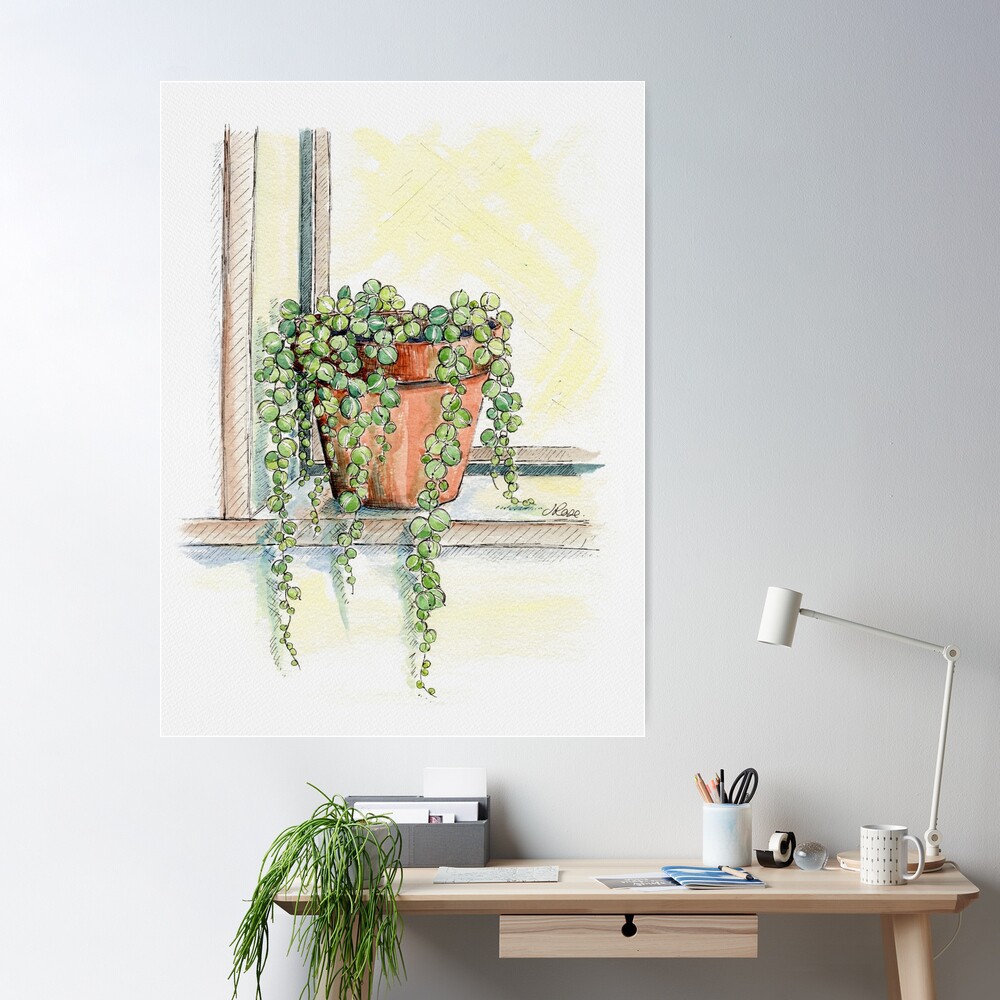 String of Pearls Plant, Still Life Art Print for Sale by JRoseDesign