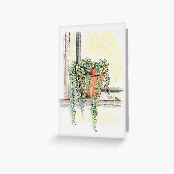 Item preview, String of Pearls Plant, Still Life designed and sold by JRoseDesign.
