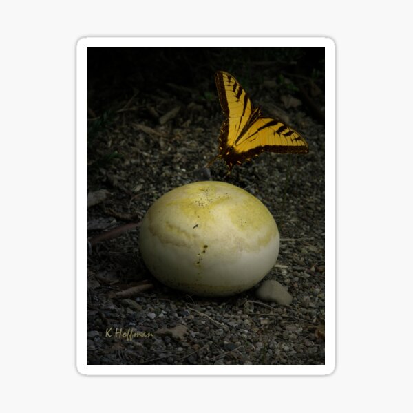 Item preview, Puffball designed and sold by webster7.