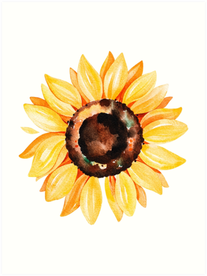 Download "Watercolor sunflower" Art Print by SouthPrints | Redbubble