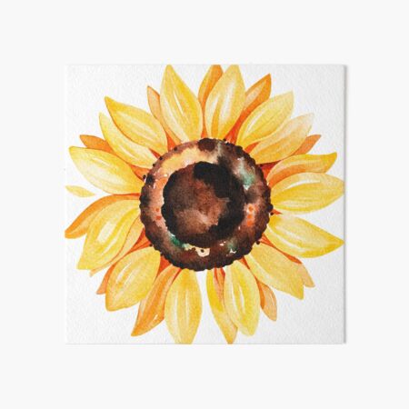 Lámina rígida «Girasol acuarela, flor amarilla pintada a mano.» de  SouthPrints | Redbubble