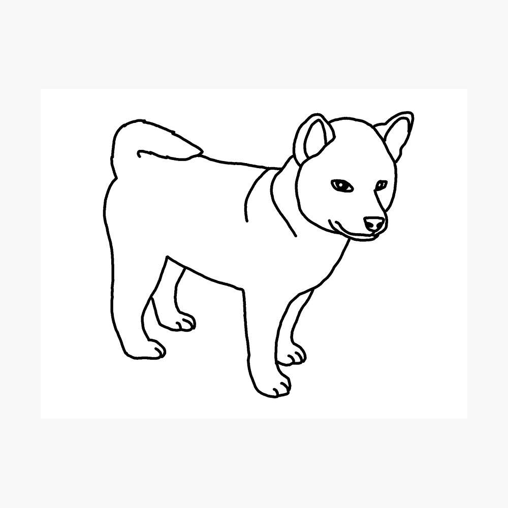 Shiba Inu Puppy Dog Drawing Poster By Nijess Redbubble