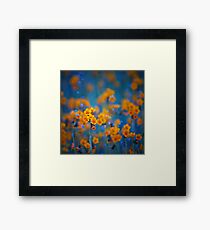 Flower dreams Framed Print