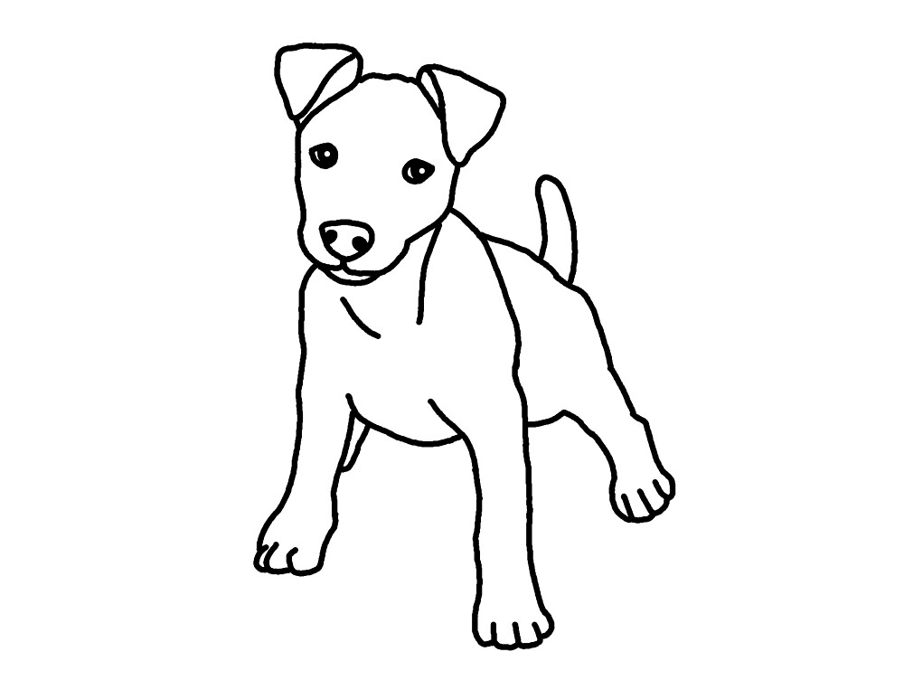 "Jack Russell Terrier, dog, drawing" by nijess Redbubble