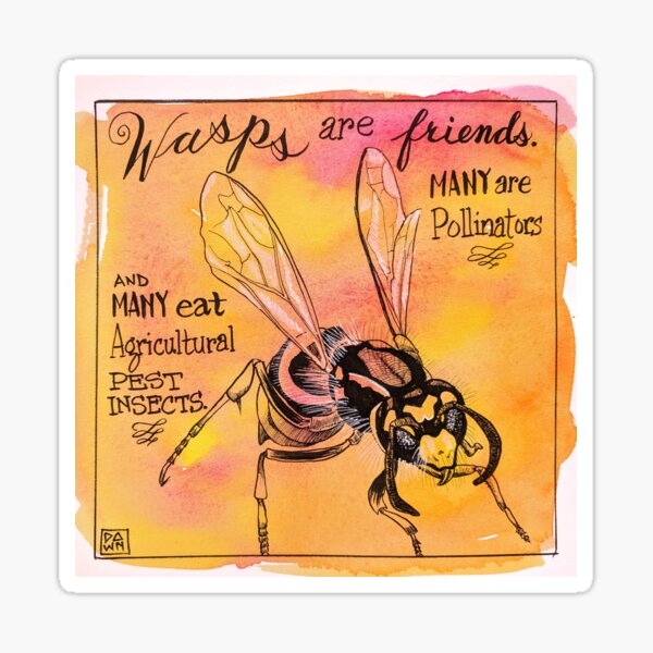 Wasps are friends Sticker