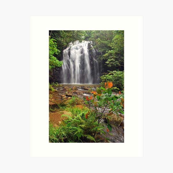 Item preview, Ellinjaa Falls designed and sold by Terry Everson.