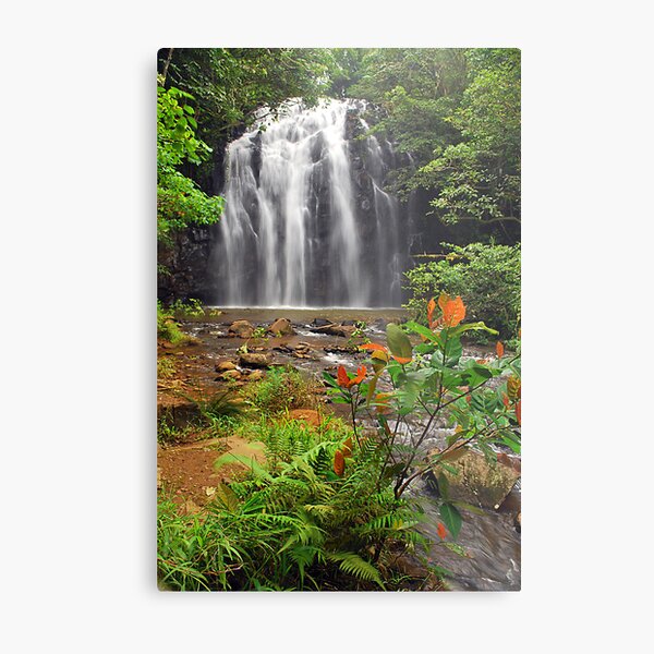 Item preview, Ellinjaa Falls designed and sold by Terry Everson.