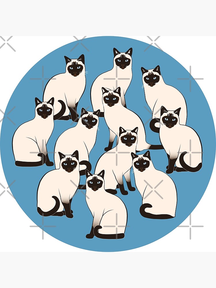 Siamese Cats Circle by nadyanadya