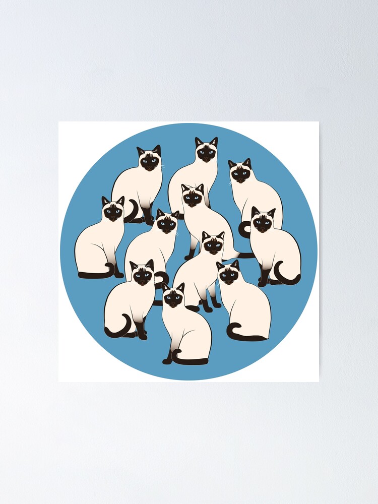 Alternate view of Siamese Cats Circle Poster