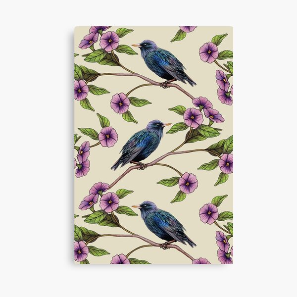 Iridescent Blackbirds With Pink Flowers Canvas Print