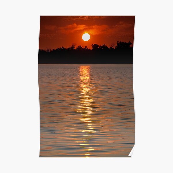 Golden Reflection Poster