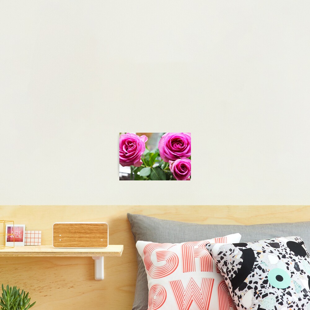 Item preview, Photographic Print designed and sold by photopalace.