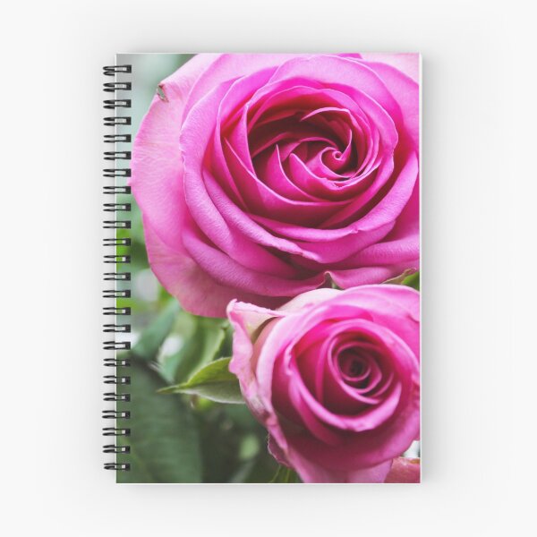 Item preview, Pink Roses designed and sold by photopalace.