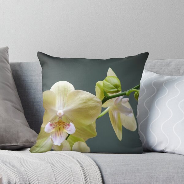Item preview, Waiting to Grow designed and sold by Adam Bykowski.