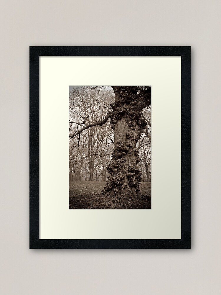Alternate view of The Unforgiving Framed Art Print
