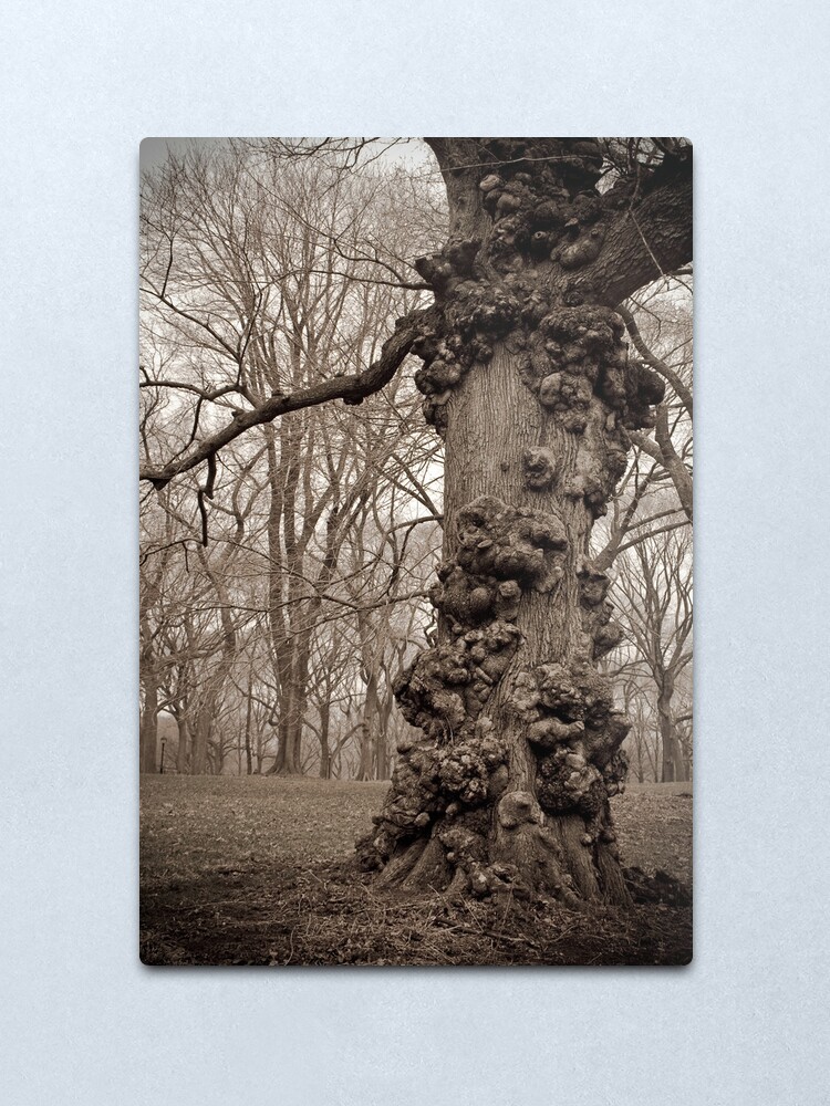 Alternate view of The Unforgiving Metal Print