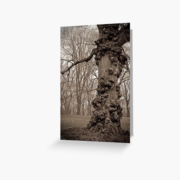 The Unforgiving Greeting Card