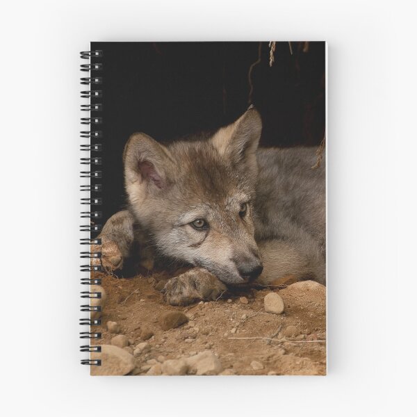 Item preview, A Great Way to Cool Off designed and sold by Tracey  Dryka.
