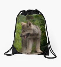 Top of the World Drawstring Bag