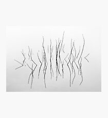 Entwistle 7 Photographic Print