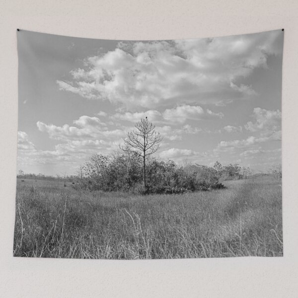 Item preview, Everglades Hammock designed and sold by Bill Wetmore.