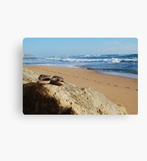 Desolate relaxing beach with flipflops Canvas Print