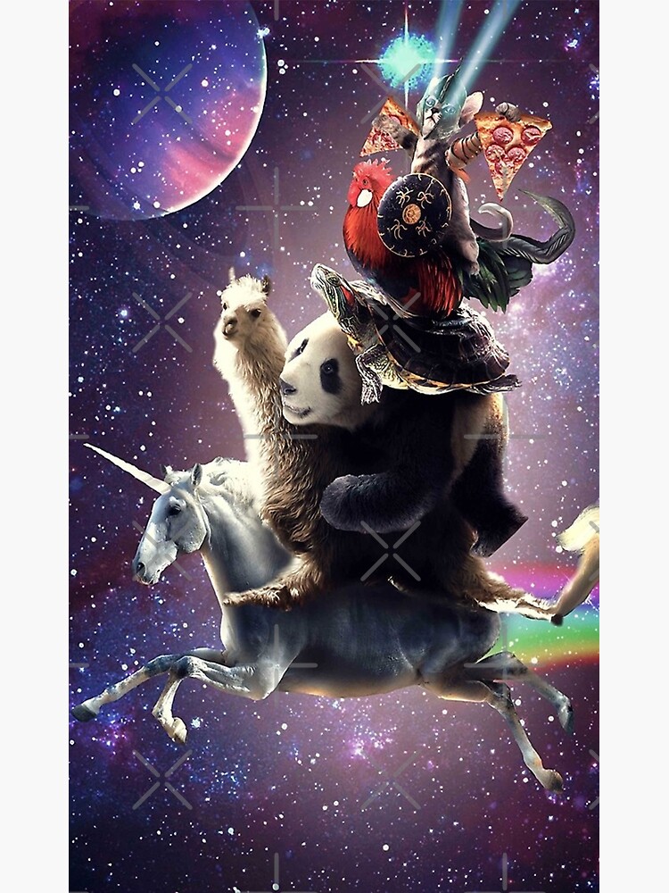 Discover Cat Riding Chicken Turtle Panda Llama Unicorn Premium Matte Vertical Poster
