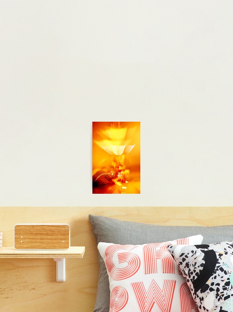 Thumbnail 2 of 3, Photographic Print, studio 2 designed and sold by blondie1sammo.
