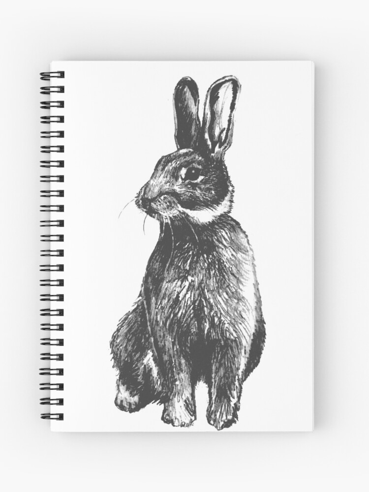 Cuaderno de espiral «Conejo, dibujo a lápiz blanco y negro» de  sarahmarsh1234 | Redbubble