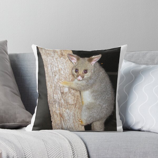 Item preview, Bright Eyes! Brush Tailed possum. Queensland. designed and sold by RitaBlom.