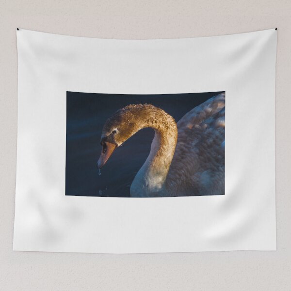 Item preview, Cygnet Swan designed and sold by Professional Art by Mike Molloy .