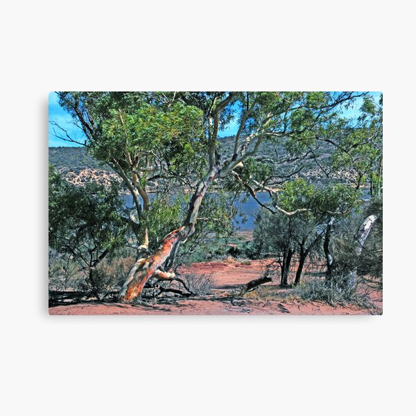 Item preview, Murchison River Kalbarri WA designed and sold by treborbob.
