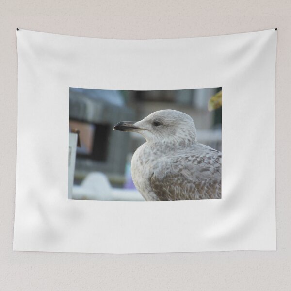 Item preview, Young European Herring Gull designed and sold by PunkyCat.