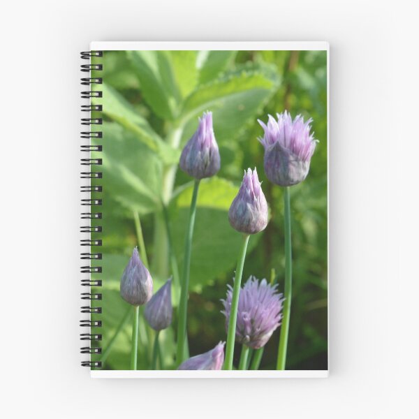Item preview, Chives designed and sold by LizardSpirit.