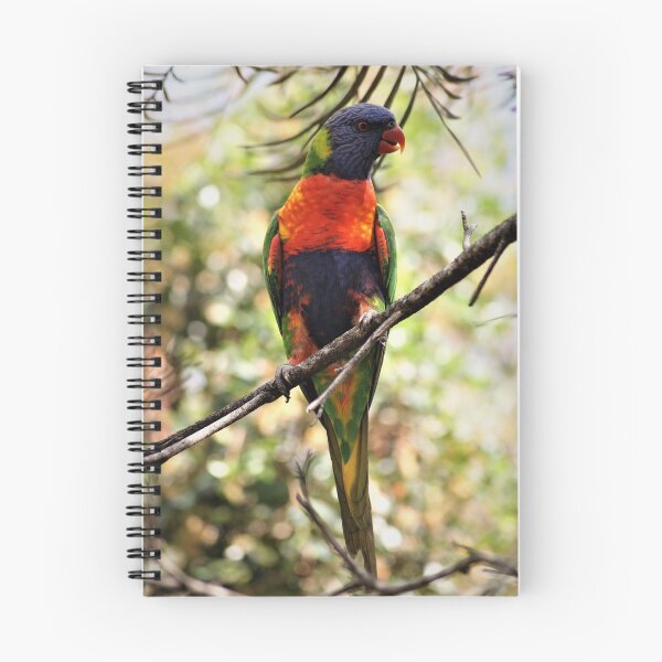 Item preview, Rainbow Lorikeet designed and sold by Dragonsfield.