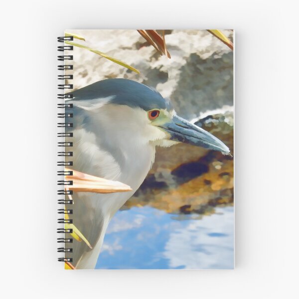 Item preview, Blue Herron Posing  designed and sold by photosbypamela.