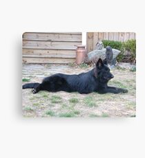 Lounging Lieben Canvas Print